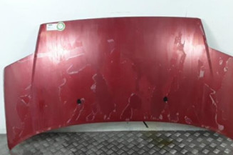 Capot CITROEN C2 Photo n°1