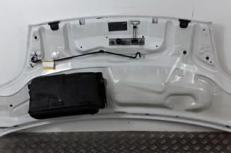 Capot OPEL VIVARO 1