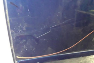 Porte arriere gauche VOLKSWAGEN TOURAN 1