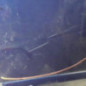Porte arriere gauche VOLKSWAGEN TOURAN 1