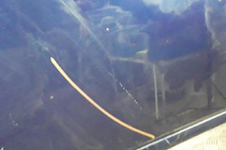 Porte arriere gauche VOLKSWAGEN TOURAN 1 Photo n°3