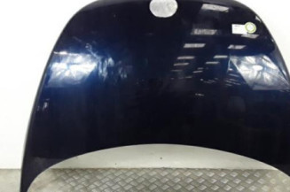 Capot VOLKSWAGEN NEW BEETLE 1 Photo n°1