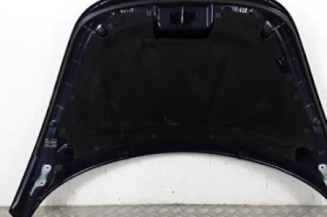Capot VOLKSWAGEN NEW BEETLE 1