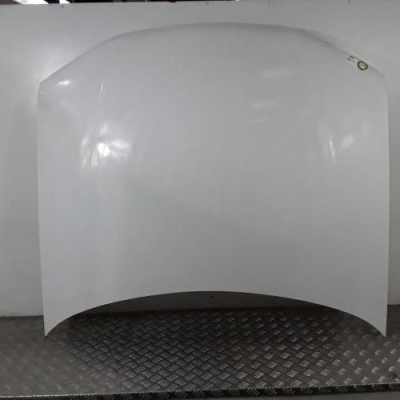 Capot PEUGEOT 406 Capot PEUGEOT 406