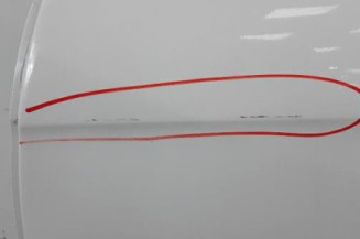 Porte arriere gauche CITROEN C3 2