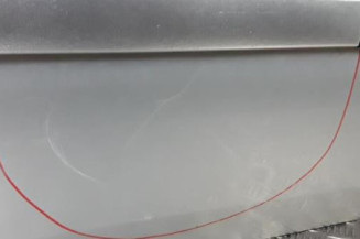 Porte avant droit RENAULT SCENIC 2 Photo n°4