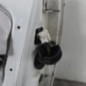 Porte avant gauche CITROEN C3 1