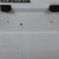 Porte de coffre gauche RENAULT EXPRESS