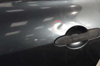 Porte arriere gauche RENAULT CLIO 3 Photo n°4