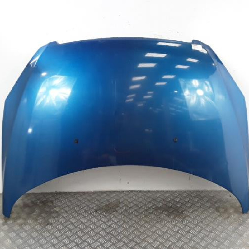 Capot PEUGEOT 307 Capot PEUGEOT 307