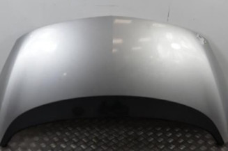 Capot OPEL MERIVA B Photo n°1