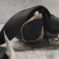 Ceinture avant droit CITROEN C3 1