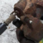 Etrier avant droit (freinage) FORD TRANSIT CONNECT 1