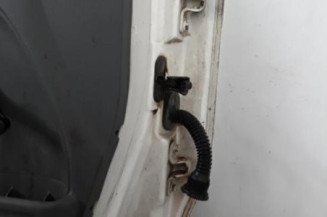 Porte avant gauche FORD TRANSIT CONNECT 1 Photo n°6