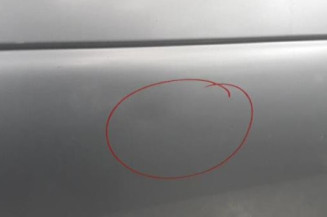 Porte avant gauche RENAULT MEGANE 1 Photo n°3