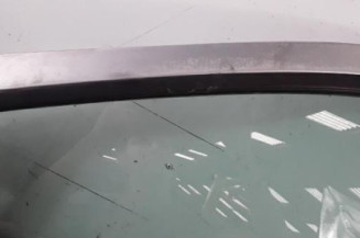 Porte avant gauche RENAULT MEGANE 1 Photo n°5