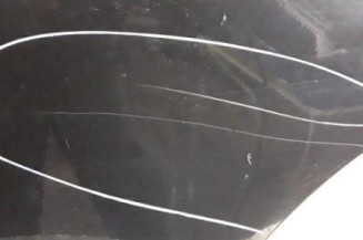 Porte arriere gauche NISSAN QASHQAI 1 Photo n°4