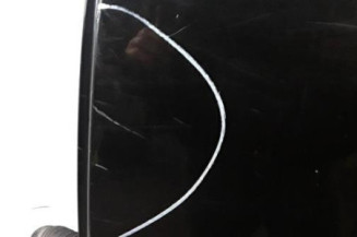 Porte arriere gauche NISSAN QASHQAI 1 Photo n°5