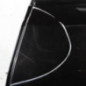 Porte arriere gauche NISSAN QASHQAI 1