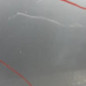 Porte avant droit SKODA FABIA 1
