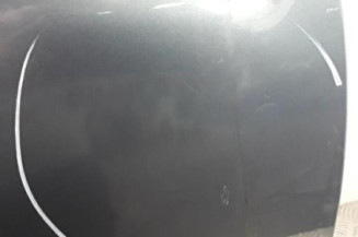 Porte avant droit CITROEN C3 1 Photo n°3