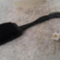 Attache ceinture avant droit PEUGEOT 508 1