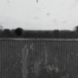 Radiateur eau PEUGEOT 5008 1
