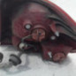 Feu arriere principal gauche (feux) HYUNDAI GETZ