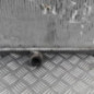 Radiateur eau CITROEN C4 PICASSO 1