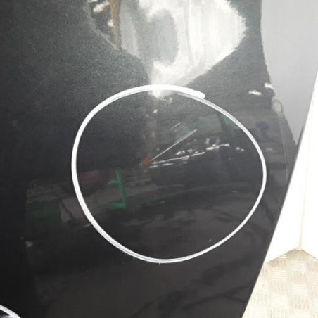 Porte arriere gauche CITROEN C5 2