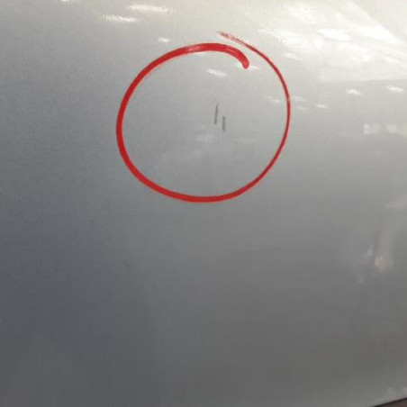 Porte arriere gauche PEUGEOT 206