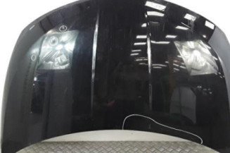 Capot NISSAN MURANO 1 Photo n°1