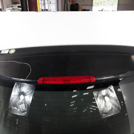 Malle/Hayon arriere NISSAN MURANO 1