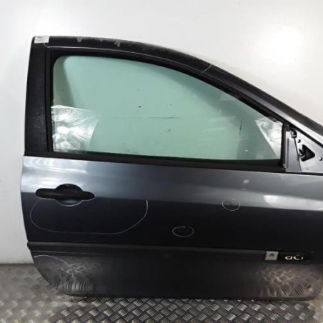 Porte avant droit RENAULT CLIO 3 Photo n°1