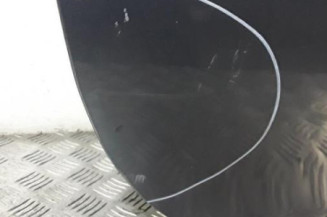 Porte avant droit RENAULT CLIO 3
