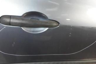 Porte avant droit RENAULT CLIO 3 Photo n°3