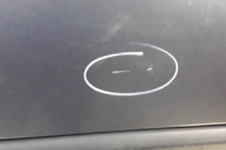 Porte avant droit RENAULT CLIO 3 Photo n°4