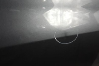 Porte avant droit RENAULT CLIO 3 Photo n°5
