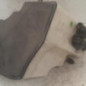 Vase de lave glace BMW X3 E83