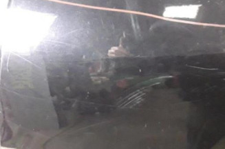 Porte arriere gauche SEAT IBIZA 4 Photo n°4