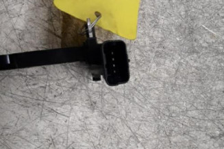 Debitmetre CITROEN C4 CACTUS