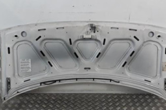 Capot FIAT SCUDO 1 Photo n°5