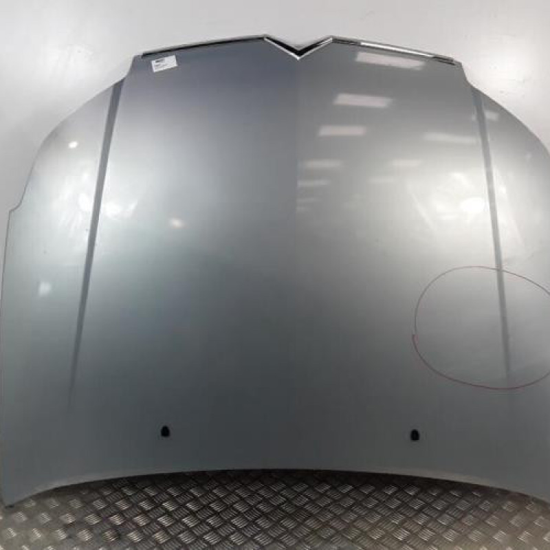 Capot CITROEN C5 1 Capot CITROEN C5 1