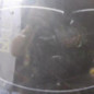 Capot RENAULT ESPACE 4