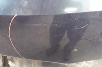 Malle/Hayon arriere RENAULT LAGUNA 2 Photo n°6