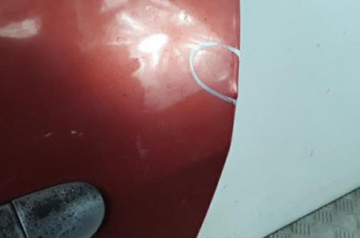 Porte arriere gauche RENAULT MODUS