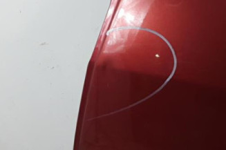 Porte arriere gauche RENAULT MODUS Photo n°3