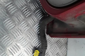 Porte arriere gauche RENAULT MODUS Photo n°6