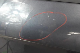 Porte arriere gauche FORD S-MAX 1