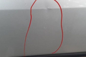 Porte arriere gauche DACIA LOGAN 1